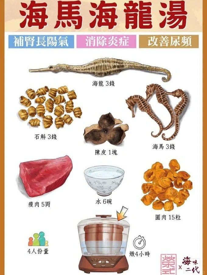海龍和海馬如何搭配使用？