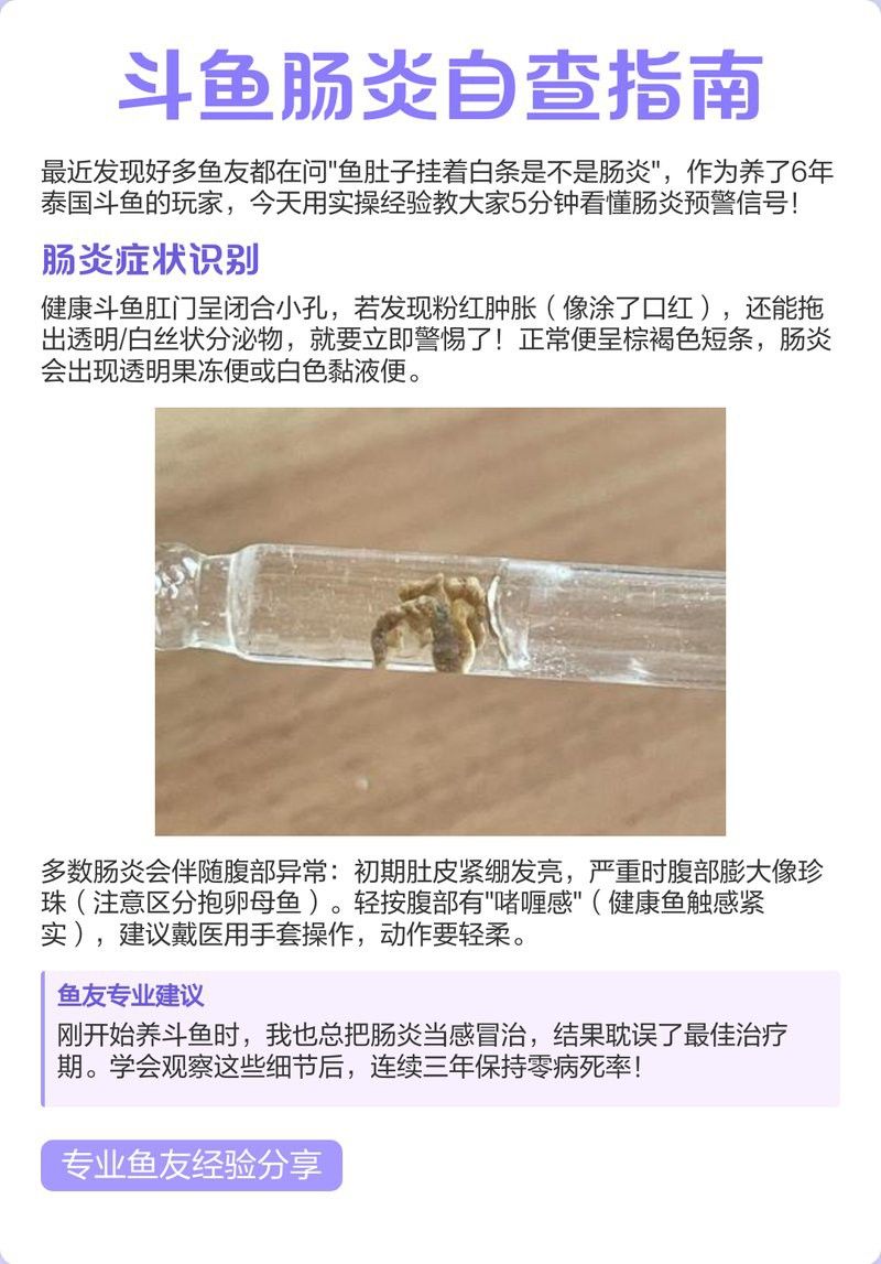 如何挑選健康的鬼王雷龍魚？