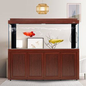 彩蝶龍魚缸能養海水魚嗎視頻：彩蝶龍魚缸養殖技術
