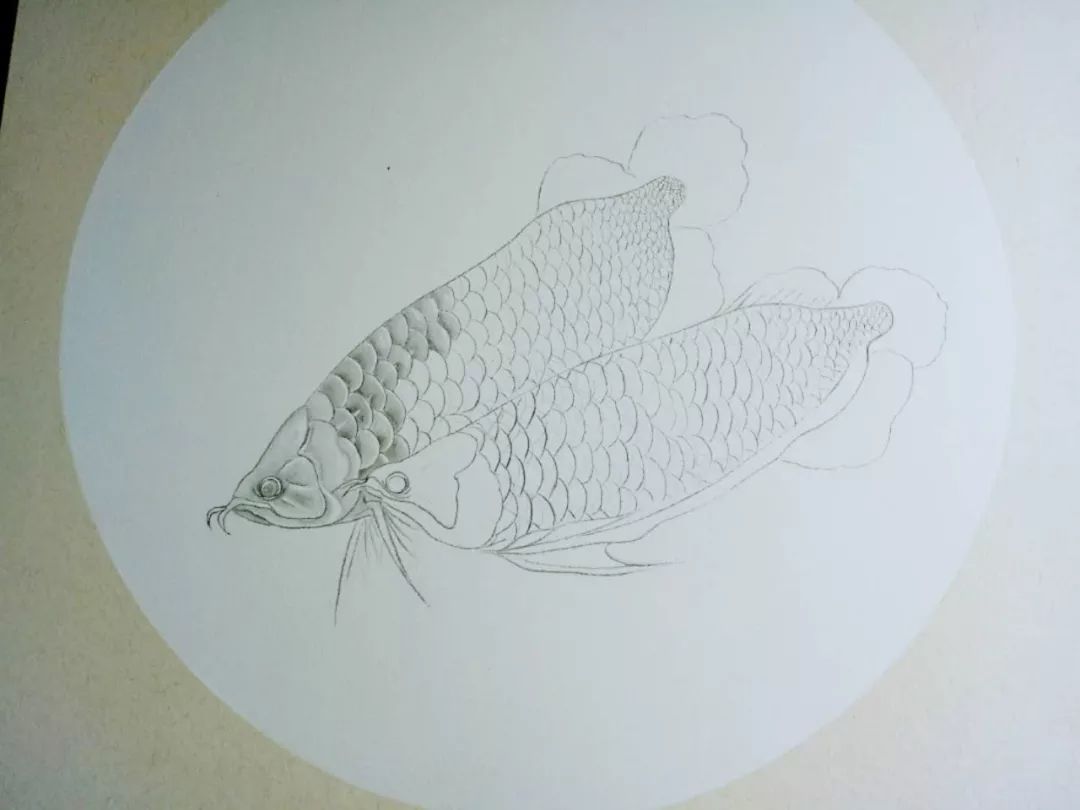 工筆龍魚畫法（工筆龍魚畫法是一種精細且富有層次感的繪畫技法）