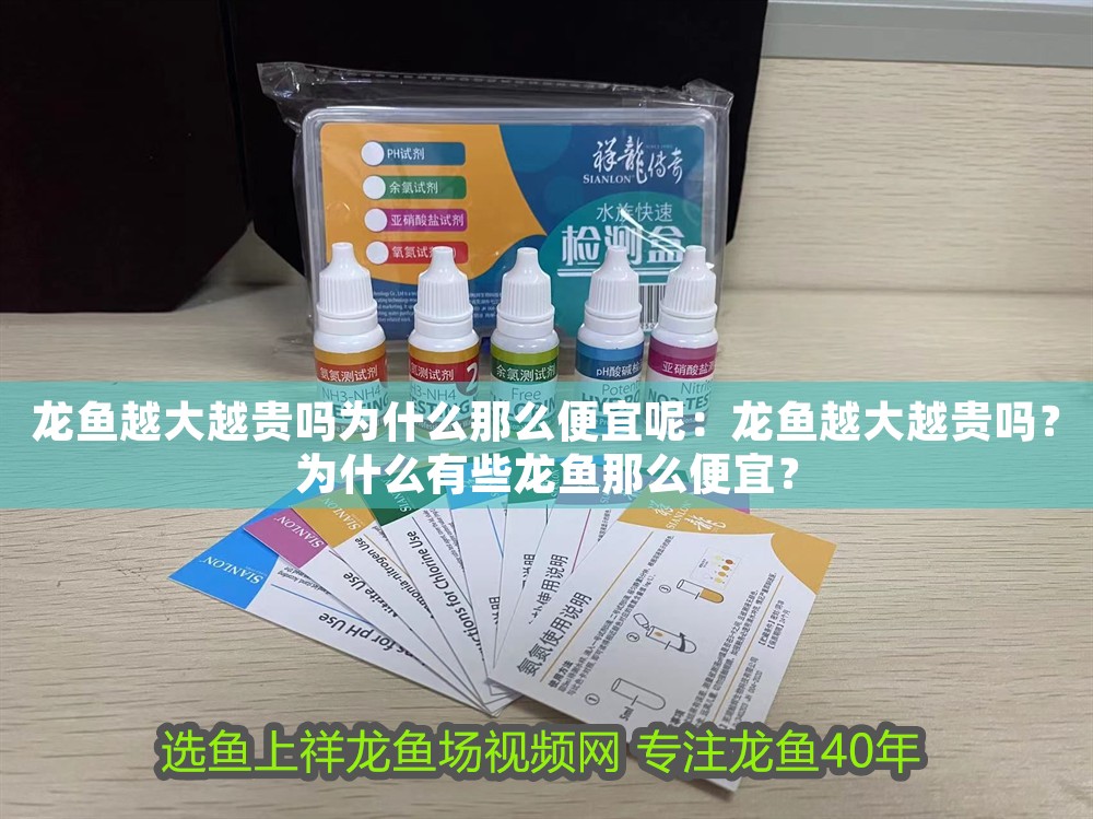 龍魚越大越貴嗎為什么那么便宜呢：龍魚越大越貴嗎？為什么有些龍魚那么便宜？