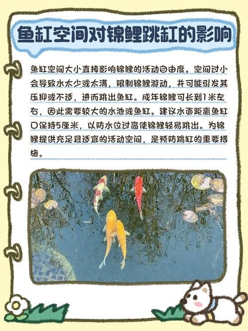 龍魚跳缸還能活嗎圖片大全