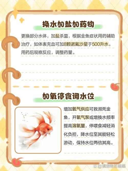 龍魚跳缸還能活嗎圖片大全