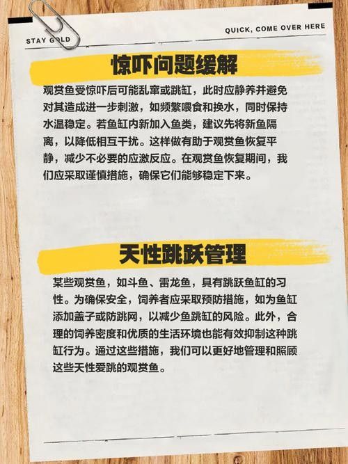 龍魚跳缸還能活嗎圖片大全