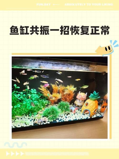 龍魚跳缸還能活嗎圖片大全