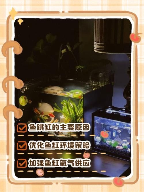 龍魚跳缸還能活嗎圖片大全