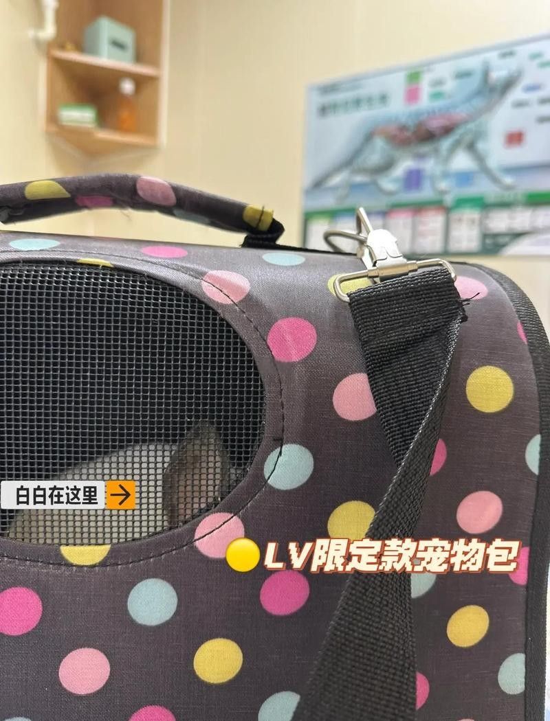 龍貓牙齒正常長度是多少？