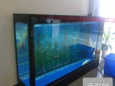 專業修魚缸電話承德,承德魚缸清洗收費標準魚缸漏水維修技巧 龍魚百科 第5張 專業修魚缸電話承德,承德魚缸清洗收費標準魚缸漏水維修技巧 專業修魚缸電話承德,承德魚缸清洗收費標準魚缸漏水維修技巧 龍魚百科 第5張