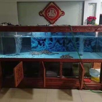 專業修魚缸電話承德,承德魚缸清洗收費標準魚缸漏水維修技巧 龍魚百科 第1張 專業修魚缸電話承德,承德魚缸清洗收費標準魚缸漏水維修技巧 專業修魚缸電話承德,承德魚缸清洗收費標準魚缸漏水維修技巧 龍魚百科 第1張