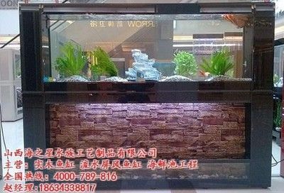 專業修魚缸電話承德,承德魚缸清洗收費標準魚缸漏水維修技巧 龍魚百科 第3張 專業修魚缸電話承德,承德魚缸清洗收費標準魚缸漏水維修技巧 專業修魚缸電話承德,承德魚缸清洗收費標準魚缸漏水維修技巧 龍魚百科 第3張