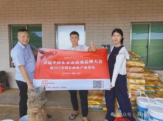 龍魚幼苗掛蛋苗什么意思：龍魚幼苗挑選技巧