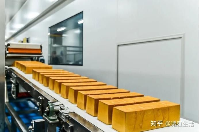 金龍魚渠道分析