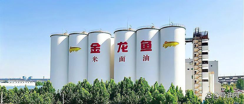 金龍魚渠道分析