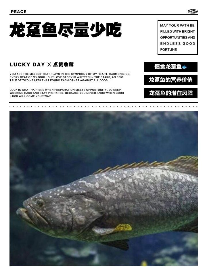 龍躉魚的最佳食用方法有哪些？