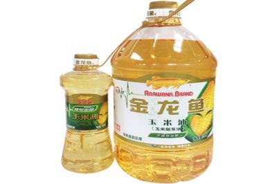 金龍魚加盟費多少錢一個月：金龍魚加盟成功案例分析金龍魚加盟條件詳解