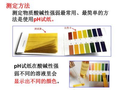 廣州大型魚缸定做o祥龍魚場：廣州大型魚缸定做專家—bb祥龍魚場，打造水族藝術的巔峰之作