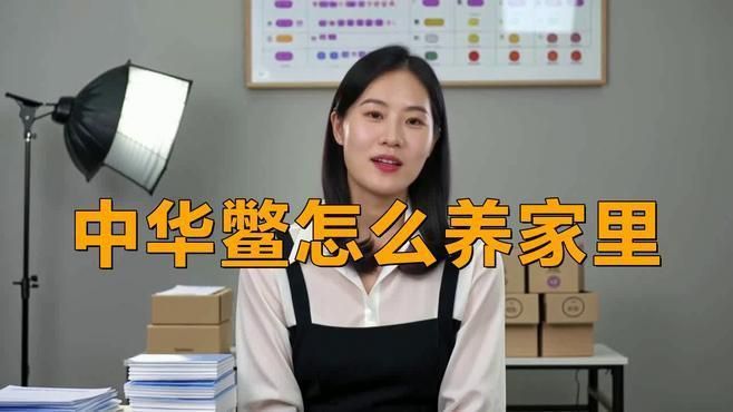 如何安全地家庭飼養(yǎng)鱉？