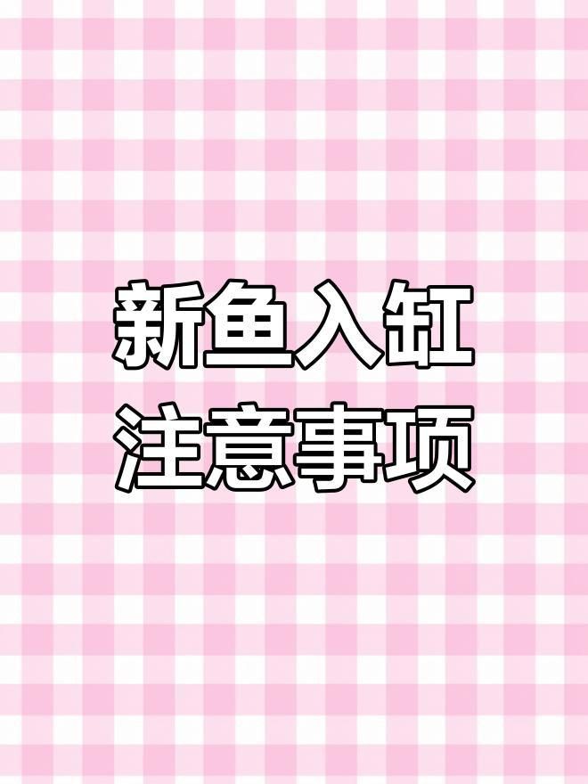 龍魚呼吸急促有哪些常見原因