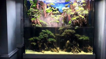 龍魚缸沉木造景效果圖：龍魚缸沉木造景效果圖是一種通過水族箱中加入木質裝飾物來創造自然景觀效果