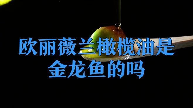 金龍魚歐麗薇蘭