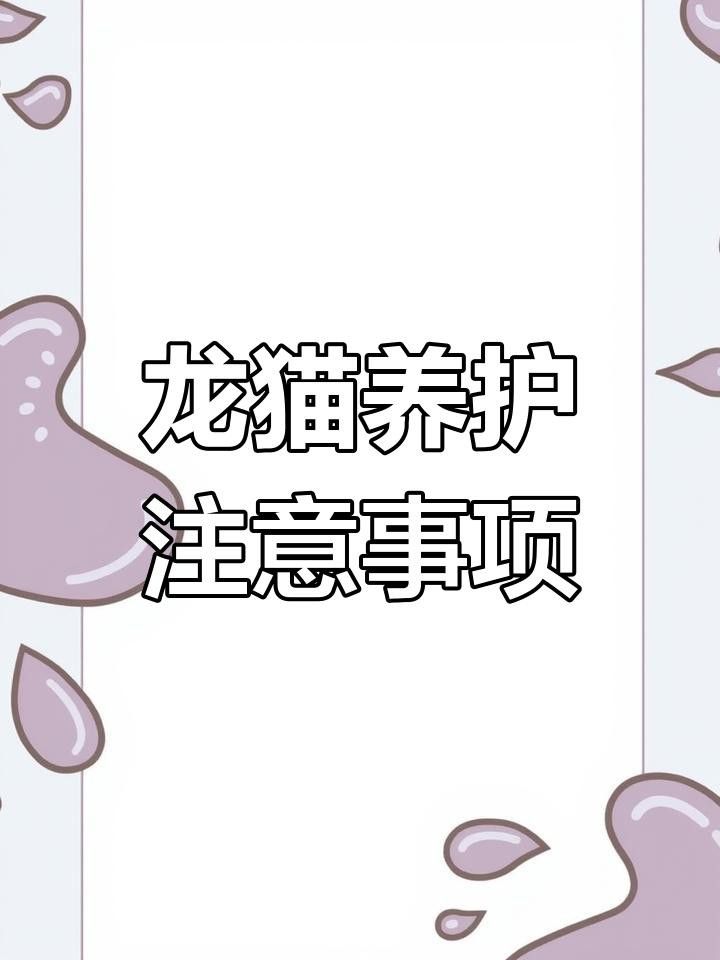 龍貓生病有哪些癥狀？