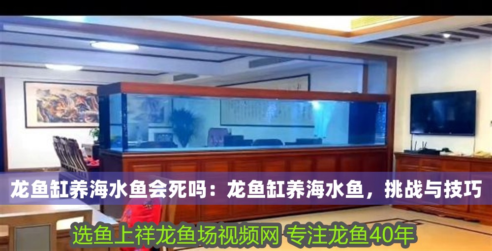 龍魚缸養海水魚會死嗎：龍魚缸養海水魚，挑戰與技巧