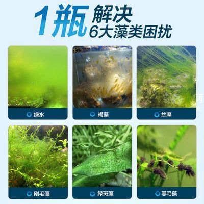 水族箱除苔素使用指南：水族箱中的青苔問題是一個(gè)常見問題是一個(gè)常見問題