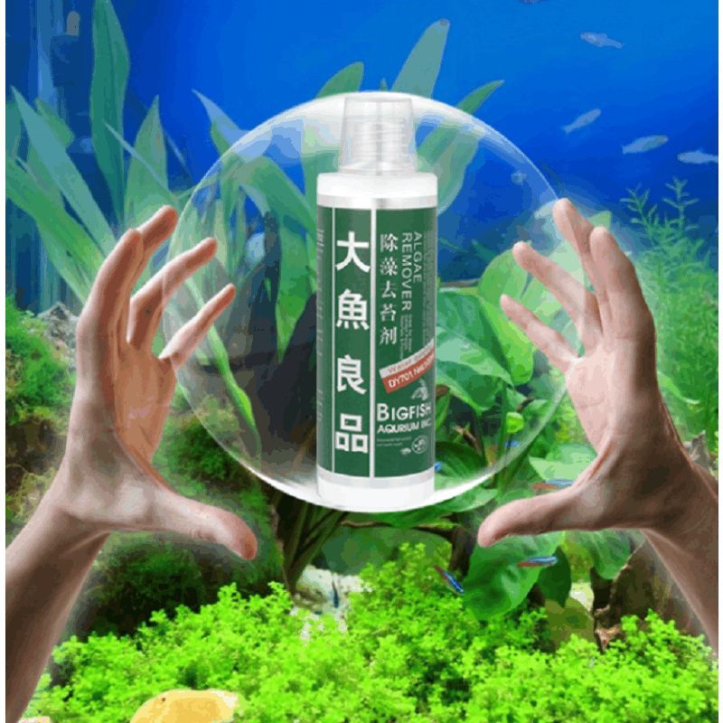 水族箱除苔素使用指南：水族箱中的青苔問題是一個(gè)常見問題是一個(gè)常見問題