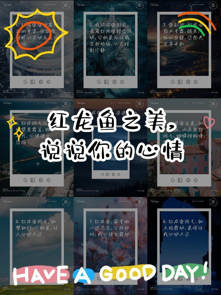 紅龍魚動(dòng)態(tài)壁紙推薦