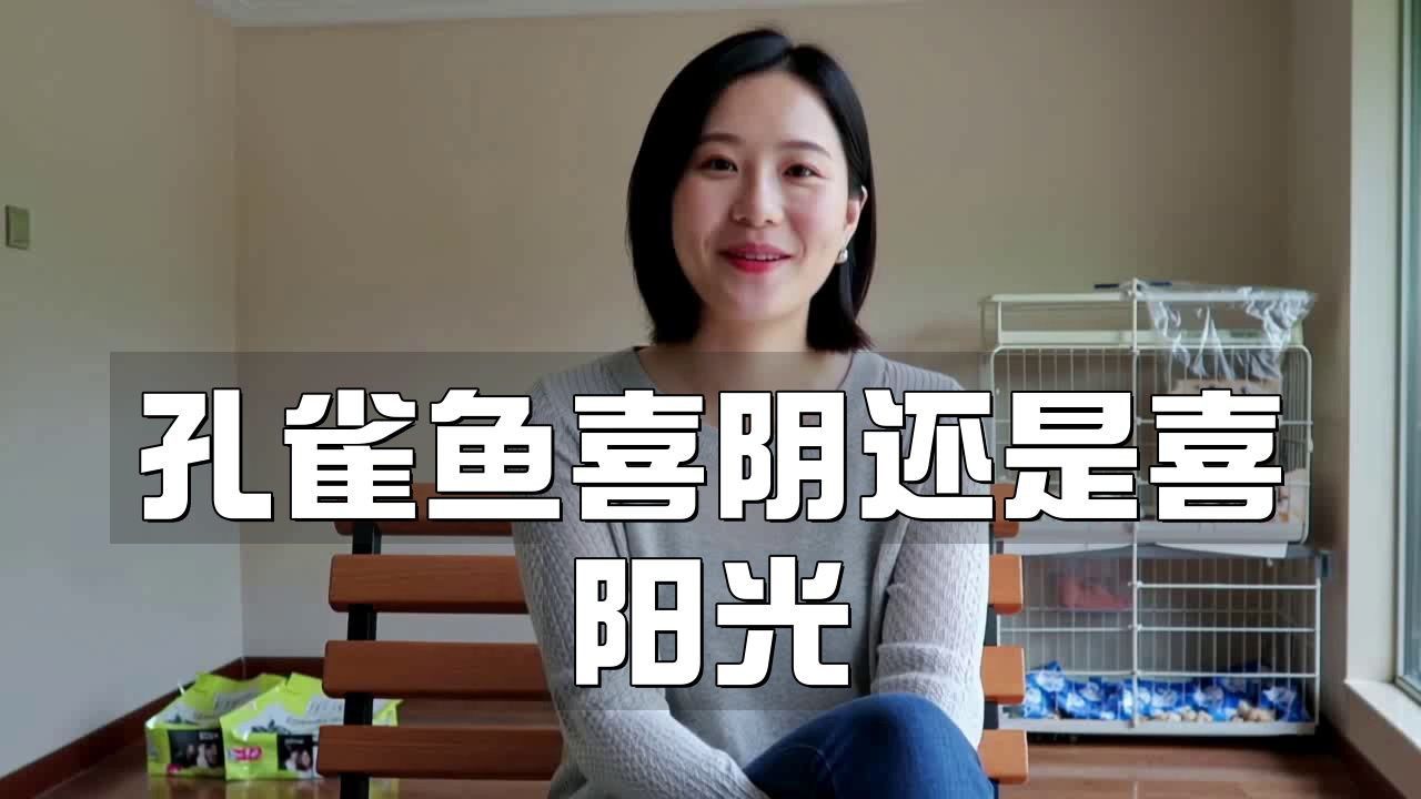 孔雀魚繁殖期需要多少光照？