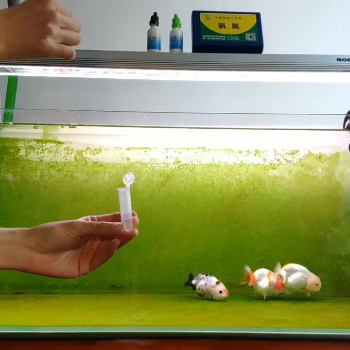 如何檢測銀龍魚的水質參數？ 如何檢測銀龍魚的水質參數？ 龍魚百科 第2張