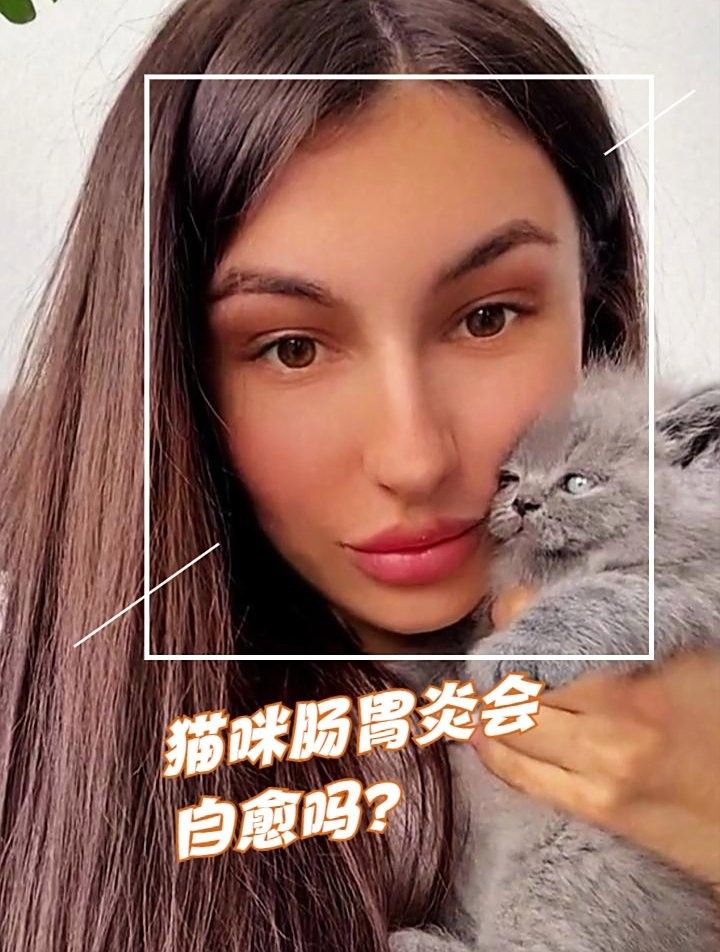 龍貓消化系統異常會自愈嗎？