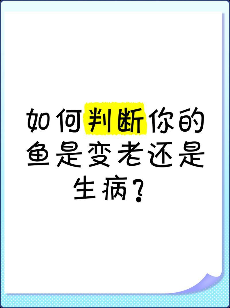 金魚壽命到了的特征