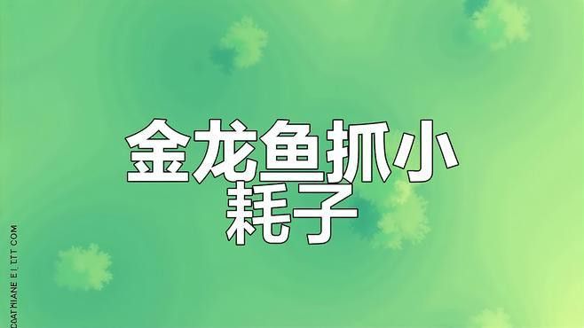 有沒有更多金龍魚捕食不同獵物的視頻？