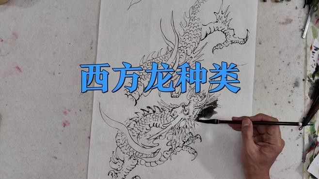 西方Dragon體系還有哪些類型的龍？
