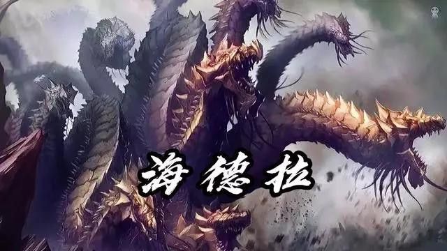 西方Dragon體系還有哪些類型的龍？