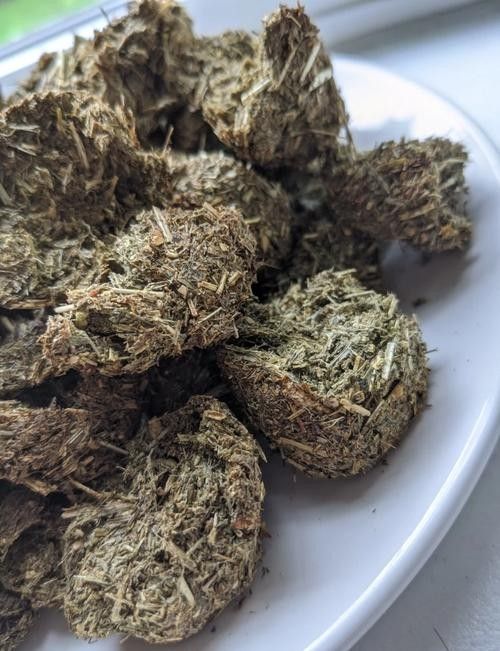 龍貓放風(fēng)后應(yīng)該如何處理？