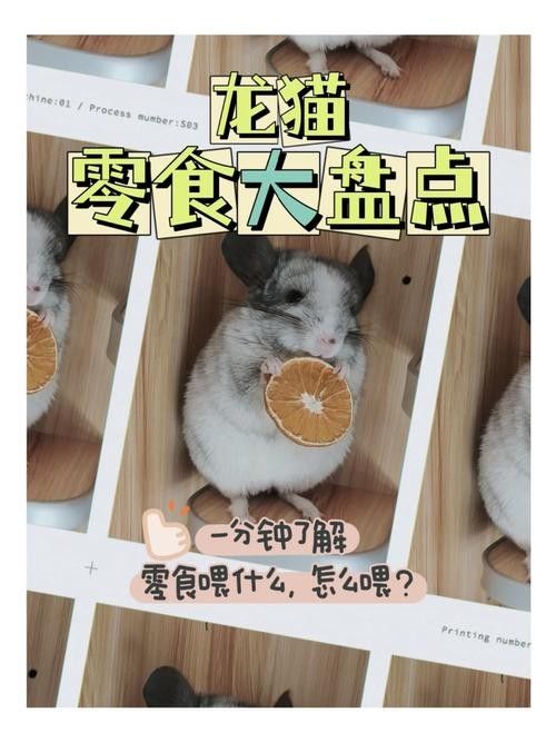 龍貓放風(fēng)后應(yīng)該如何處理？