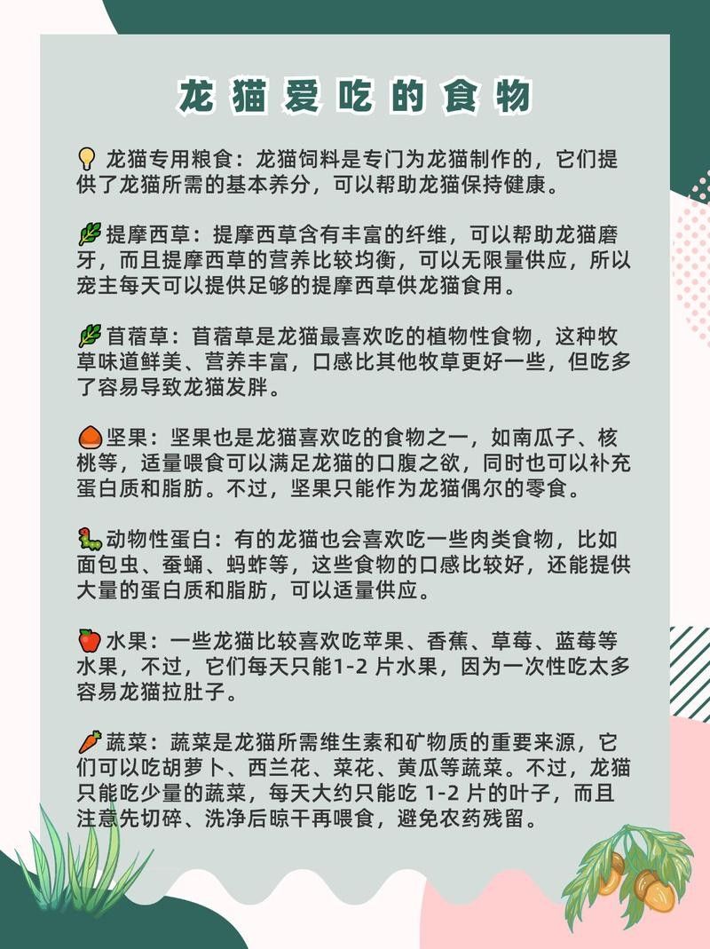 龍貓放風(fēng)后應(yīng)該如何處理？