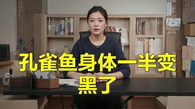 孔雀魚發黑怎么回事