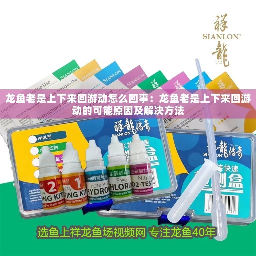 龍魚老是上下來回游動怎么回事：龍魚老是上下來回游動的可能原因及解決方法