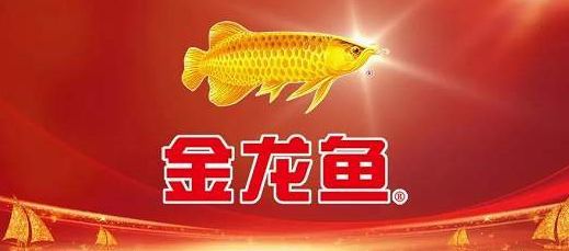 金龍魚宣傳視頻：金龍魚品牌宣傳視頻可能會展示品牌的發展歷程、產品優勢