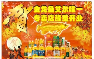 金龍魚宣傳視頻：金龍魚品牌宣傳視頻可能會展示品牌的發展歷程、產品優勢