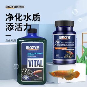 龍魚維生素有用嗎（龍魚維生素對于龍魚的健康有著怎樣的作用？）