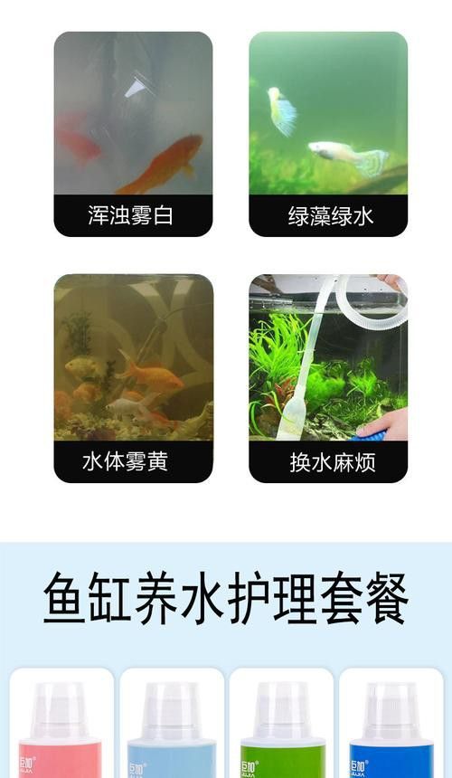 有哪些清潔劑適合魚(yú)化龍擺件？