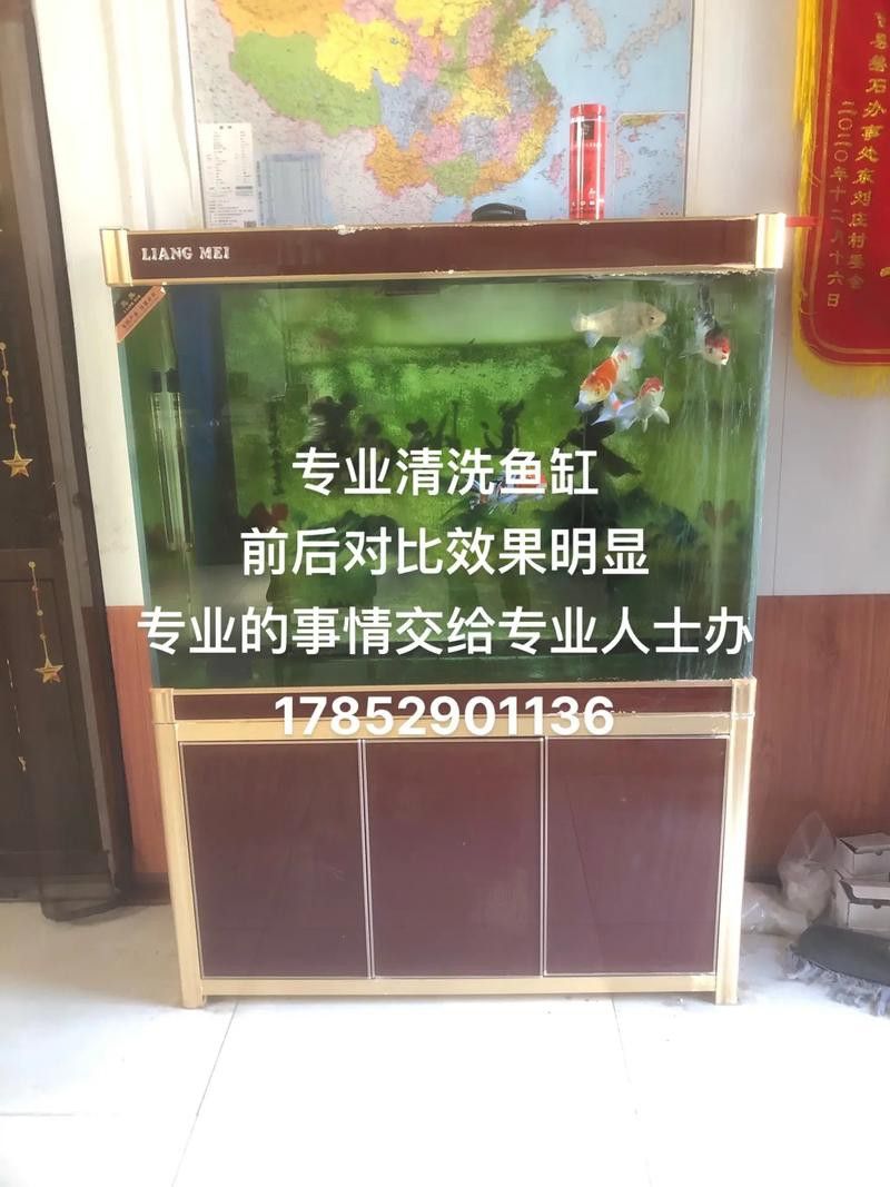 有哪些清潔劑適合魚(yú)化龍擺件？