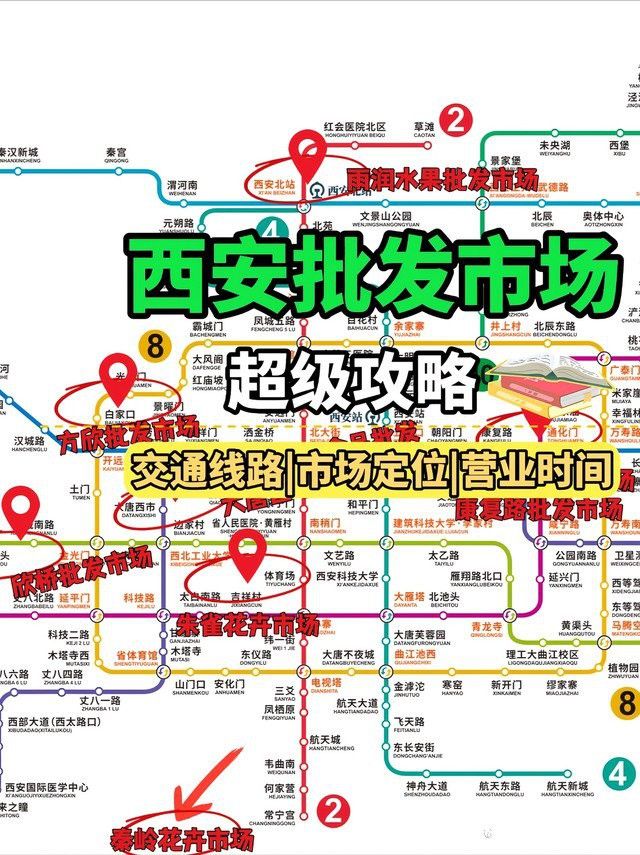 西安龍魚苗批發市場在哪里有賣的