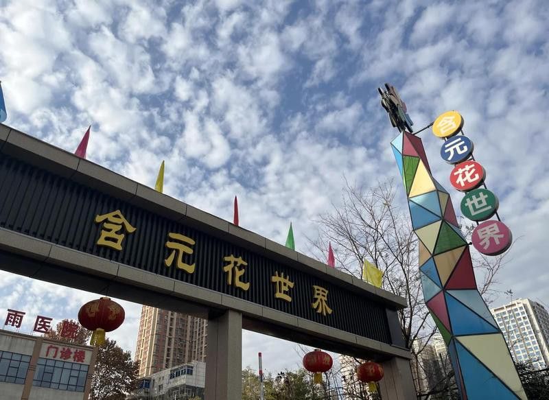西安龍魚苗批發市場在哪里有賣的