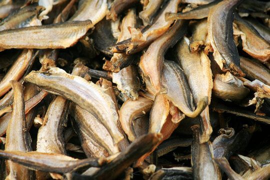 龍魚(yú)可以喂魚(yú)干嗎：龍魚(yú)可以喂食魚(yú)干嗎龍魚(yú)可以喂魚(yú)干嗎，龍魚(yú)可以喂魚(yú)干嗎