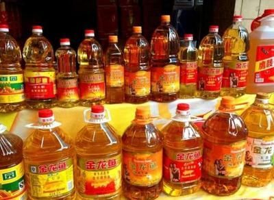 金龍魚進貨價格：金龍魚價格